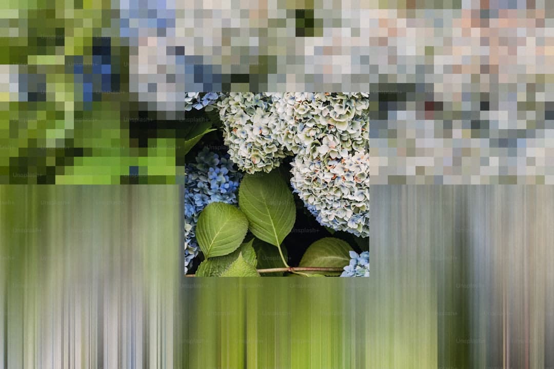 CS传奇选手somebody被曝组织打假赛，许昊文表示明日将作出回应 反转还是坦白一切？